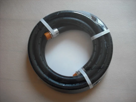 Rubber Fuel and Oil Delivery Hose for Pump/Tank